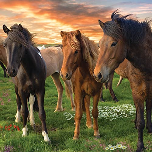 puzzles animales caballos